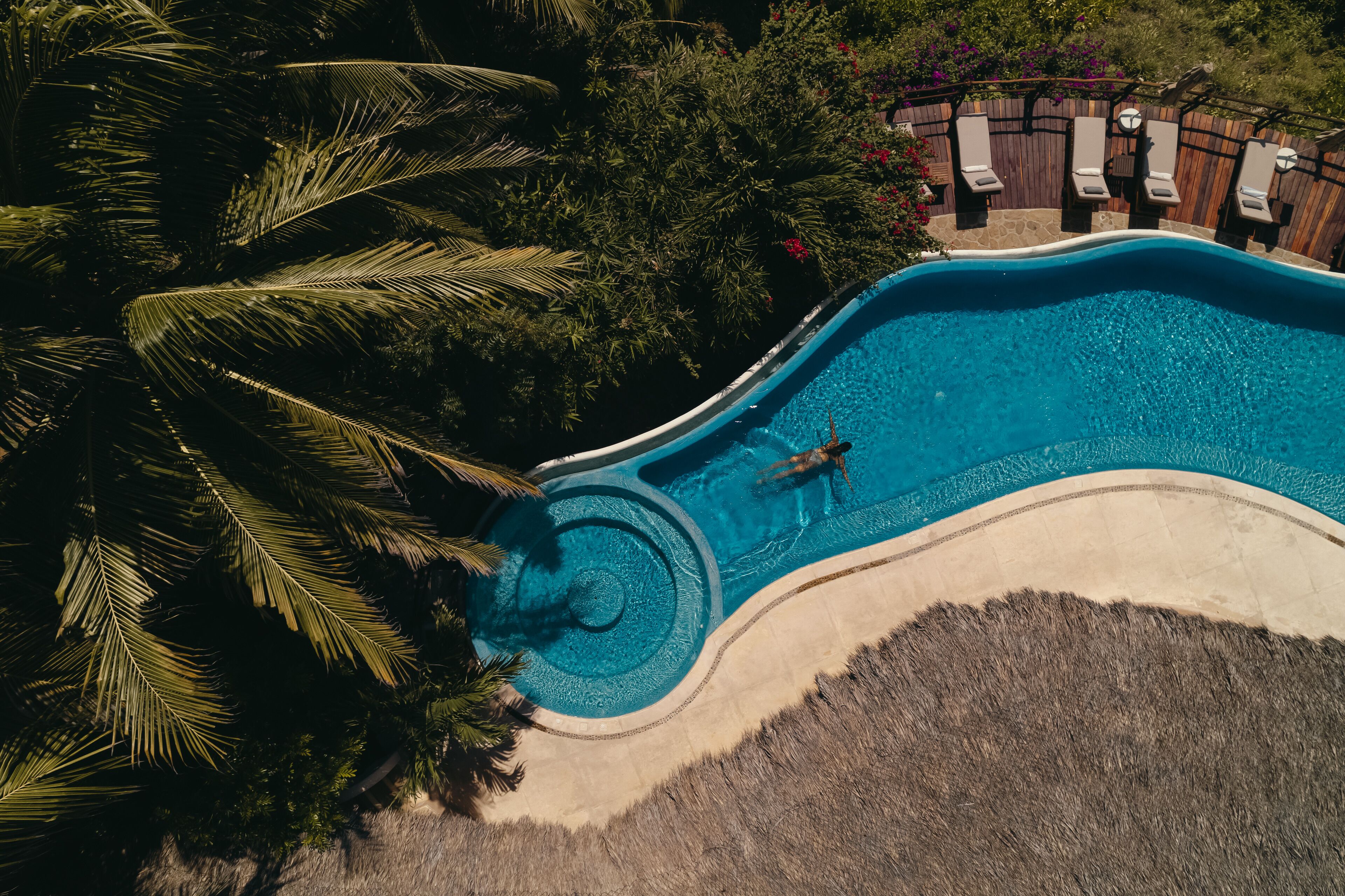 A swimming pool with a curved edge, surrounded by palm trees and a wooden deck with lounge chairs.