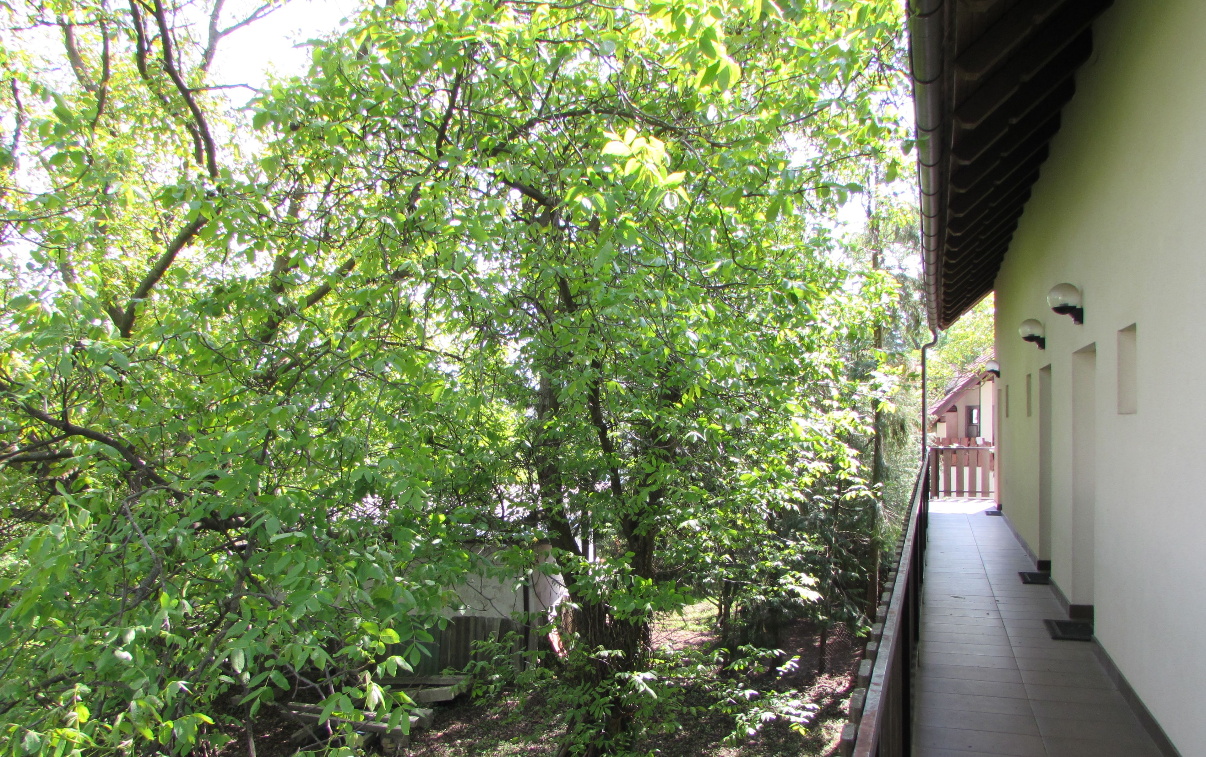 Photo - Hotel Guesthouse Stari Jasen