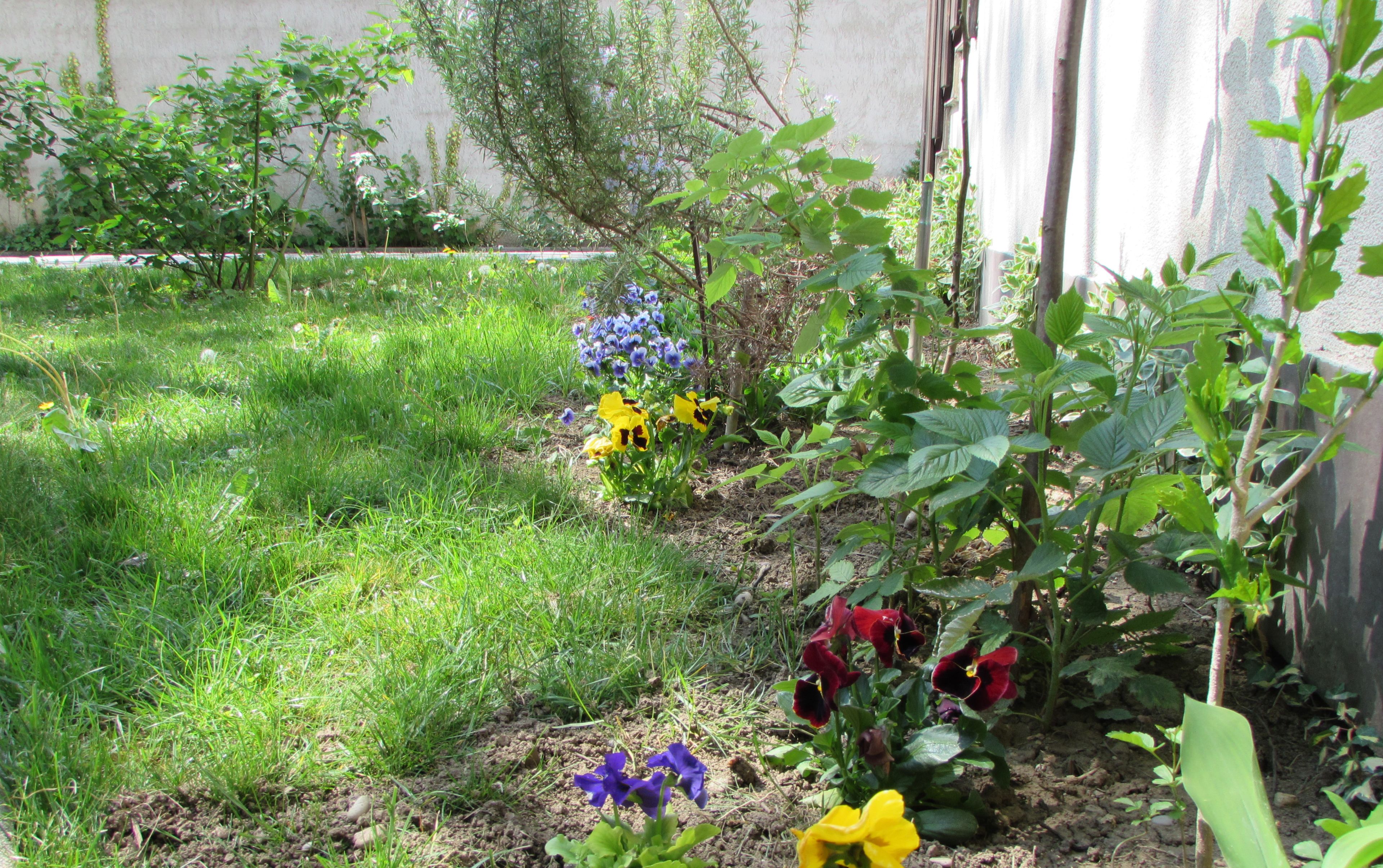 Un jardín con diversas plantas y flores, incluyendo flores amarillas, moradas y rojas, y una zona de césped.