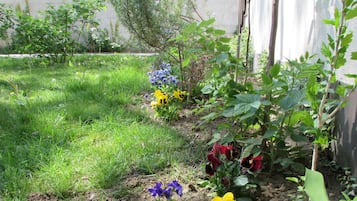 Un jardín con diversas plantas y flores, incluyendo flores amarillas, moradas y rojas, y una zona de césped.
