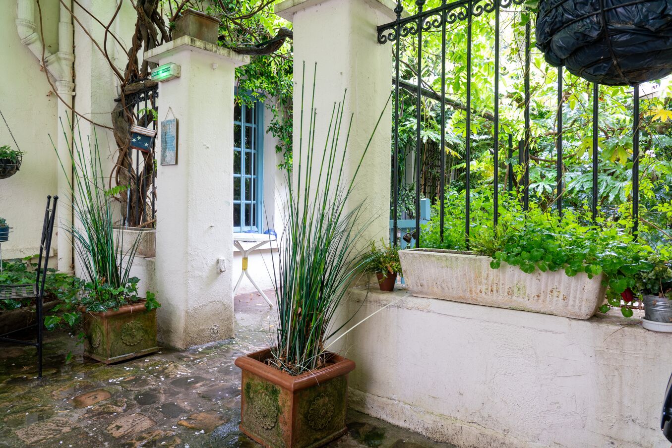 Un patio estrecho con plantas en macetas, una reja de metal y una ventana con contraventanas azules.