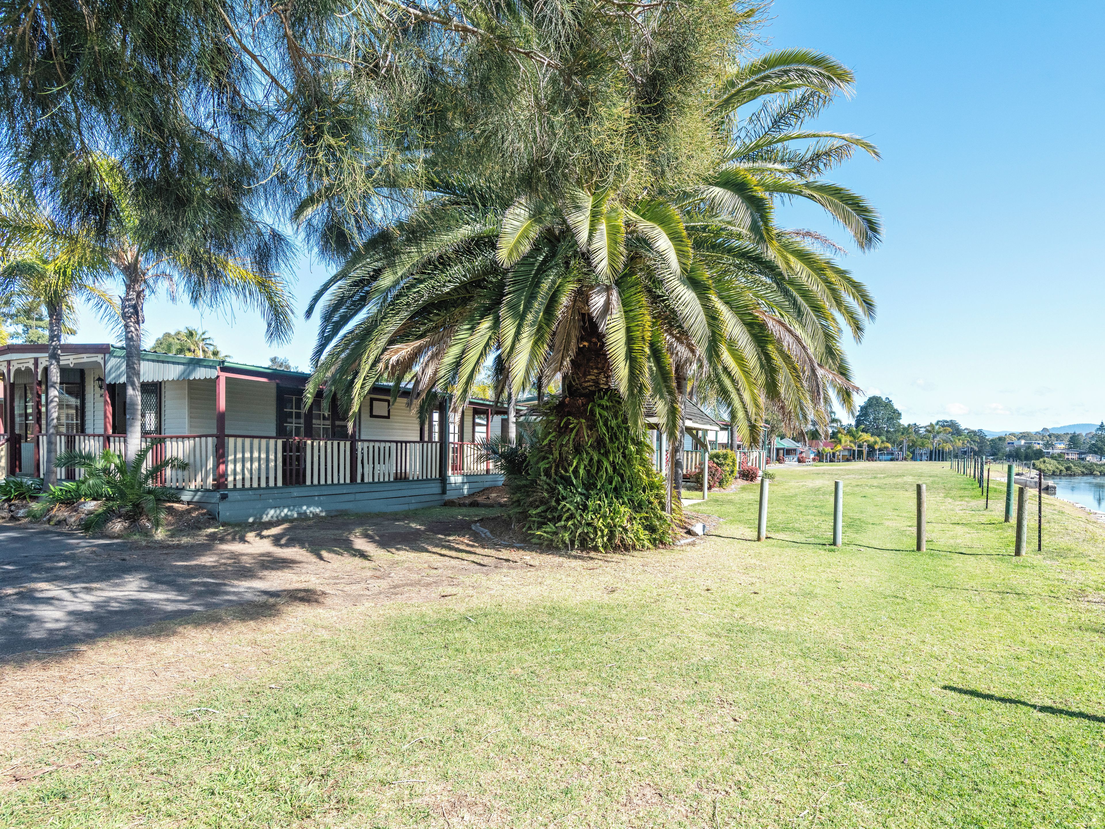 A beachfront property with a large palm tree, a covered porch, and a view of the ocean.