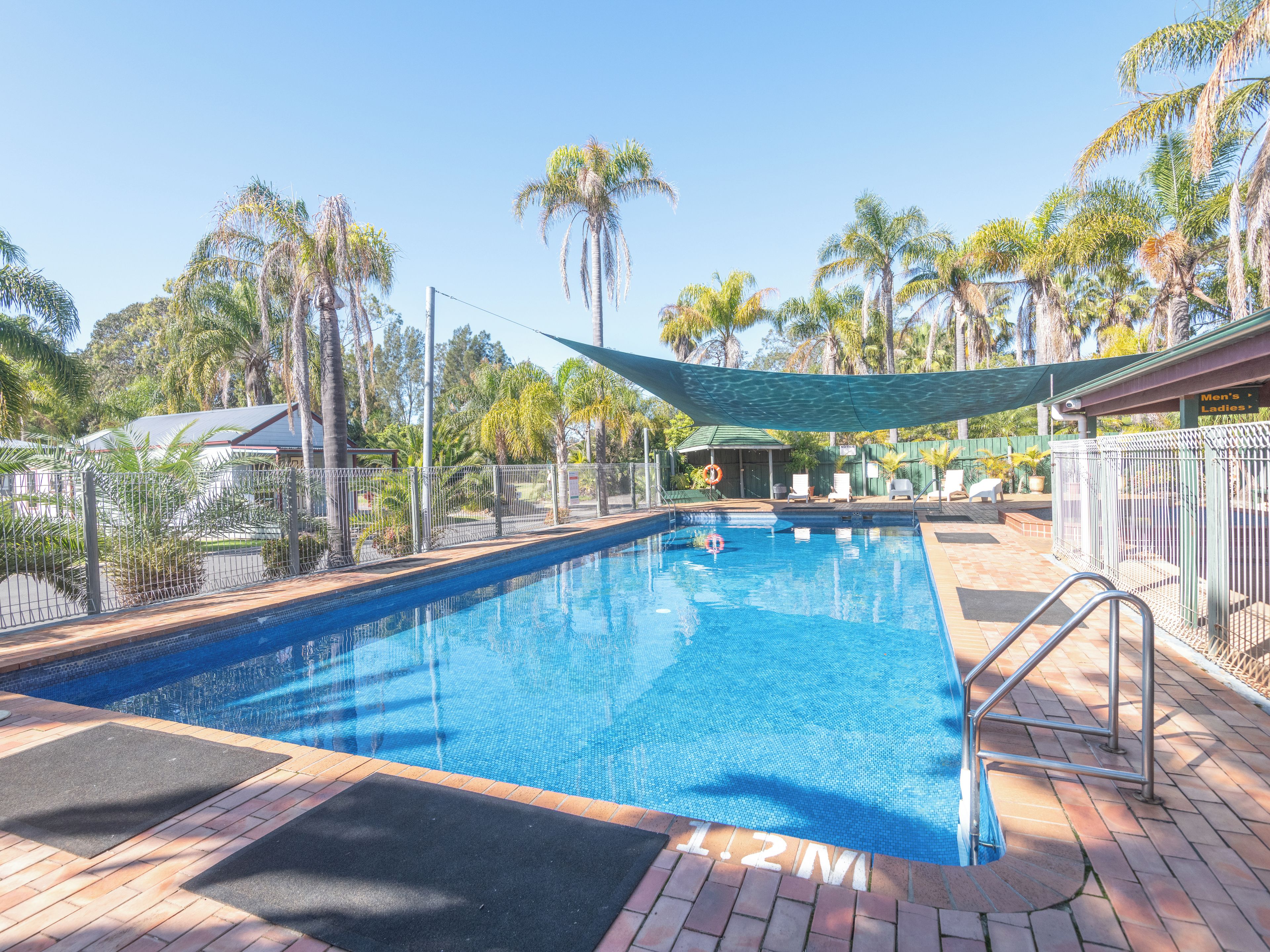 A swimming pool with a shaded area, surrounded by palm trees and a fenced deck.
