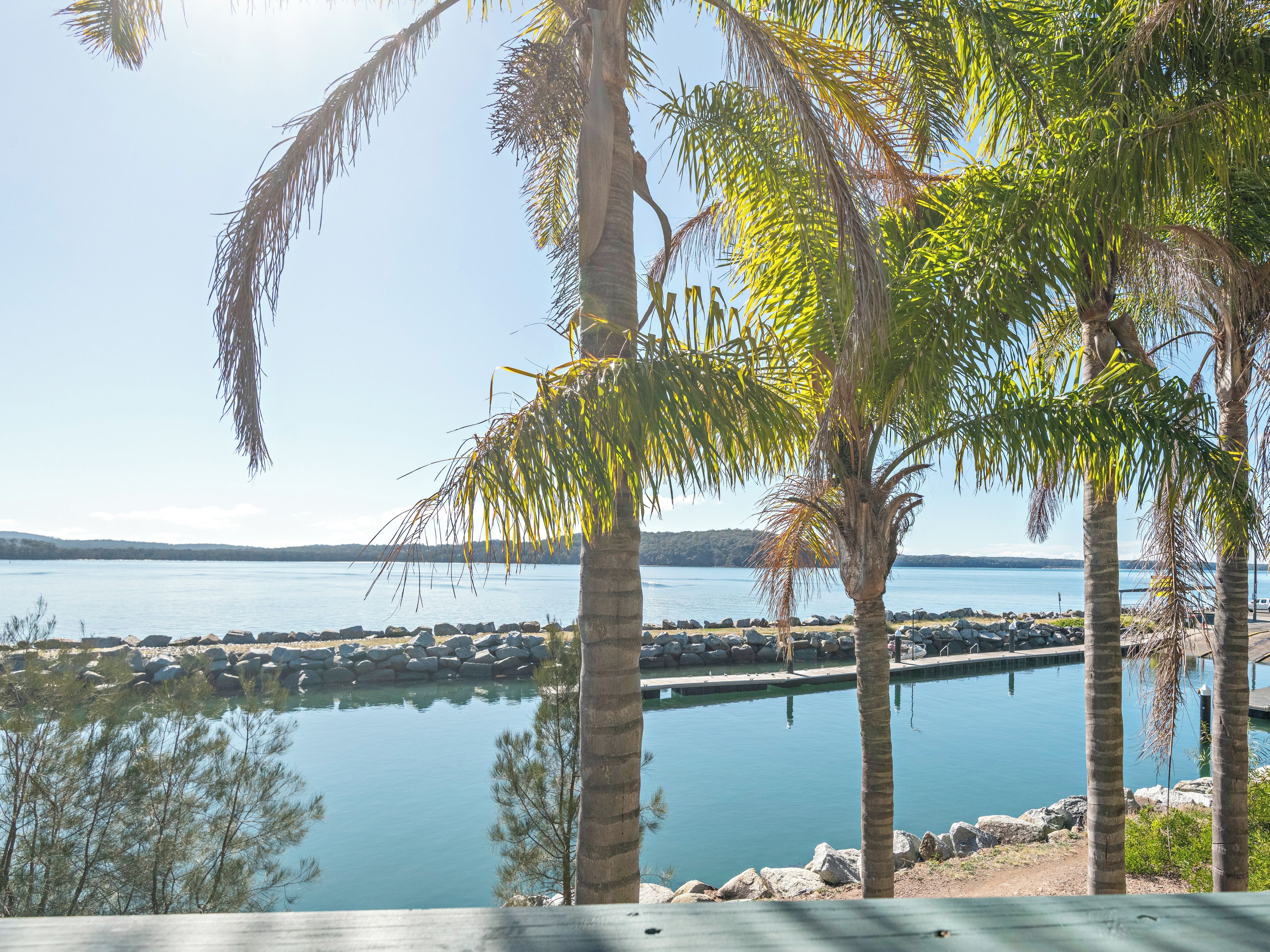 A view of a calm lake with a wooden deck and palm trees.