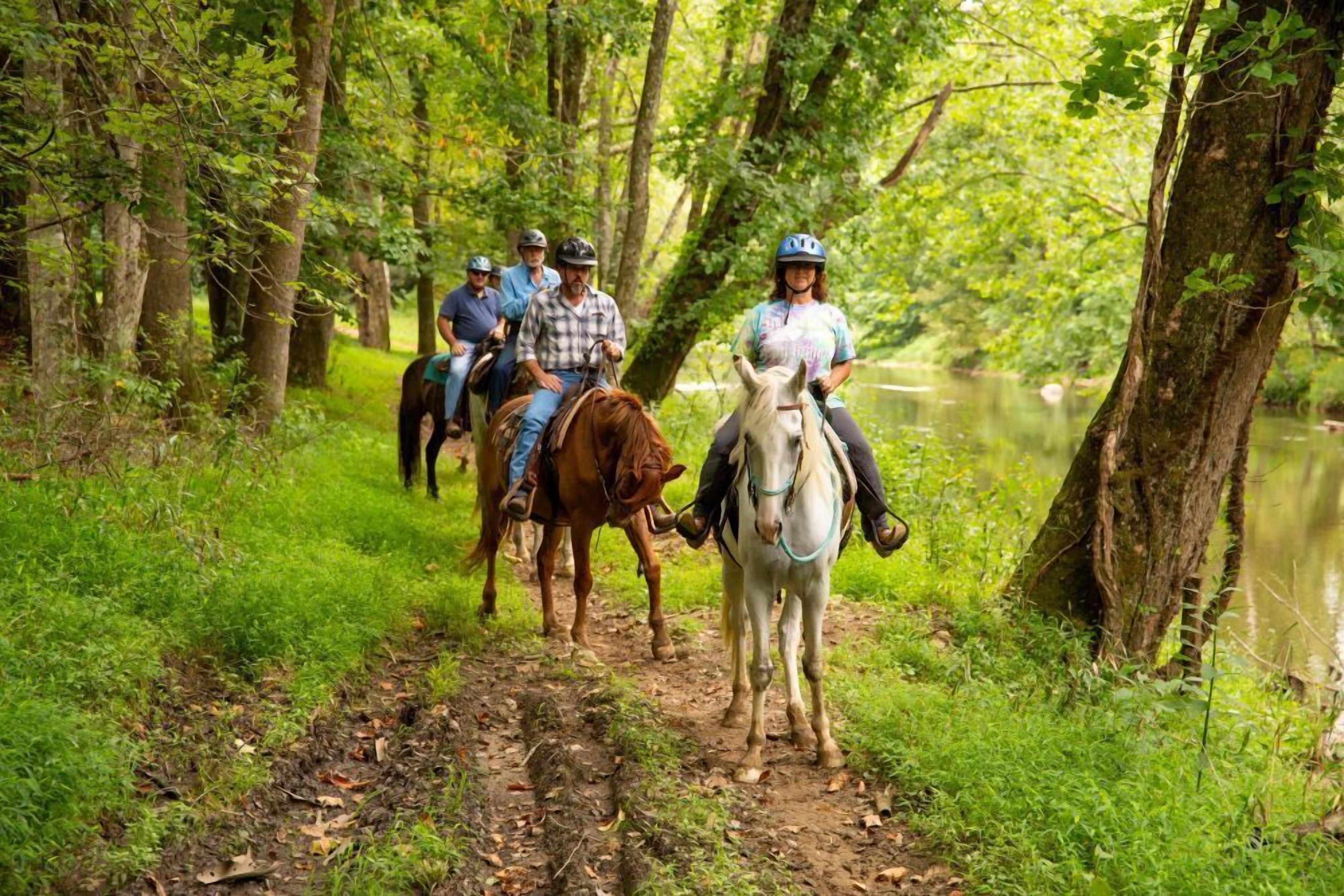 A group of people riding horses on a dirt path surrounded by trees and a body of water.