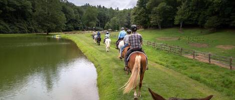 En grupp människor som rider på hästar längs en stig intill ett vattendrag, omgivna av grönska.