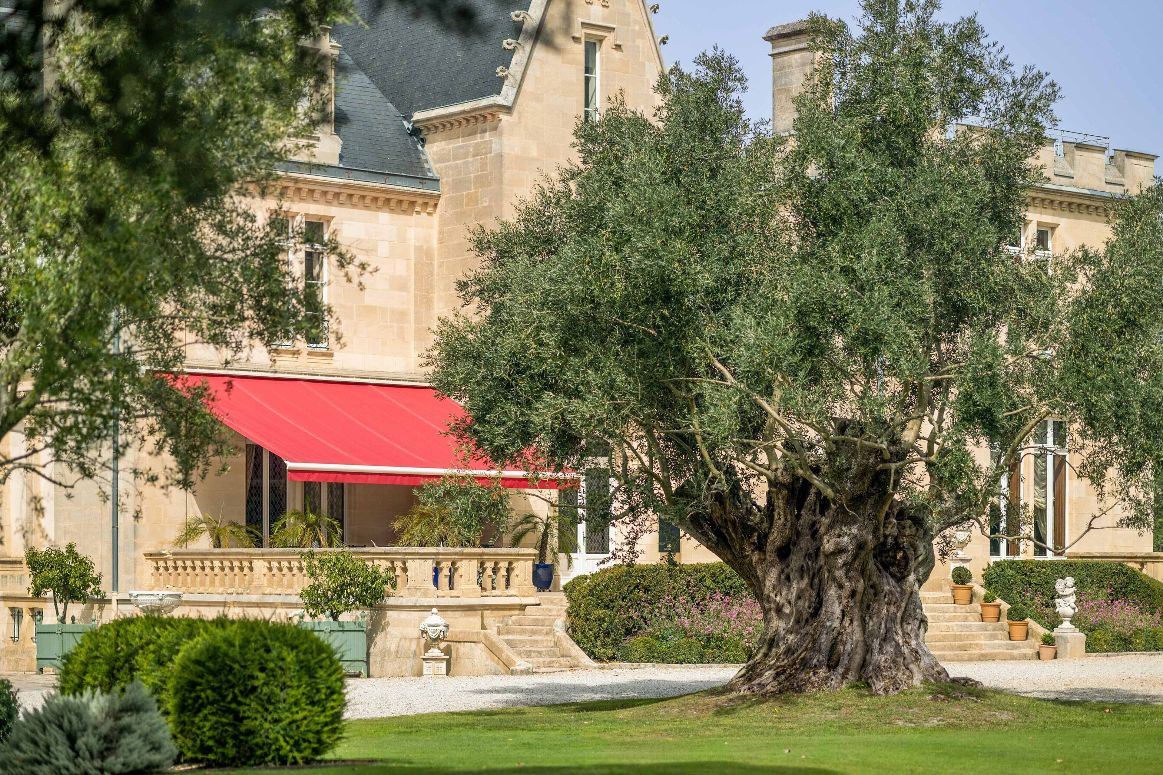 Photo - Château Pape Clément