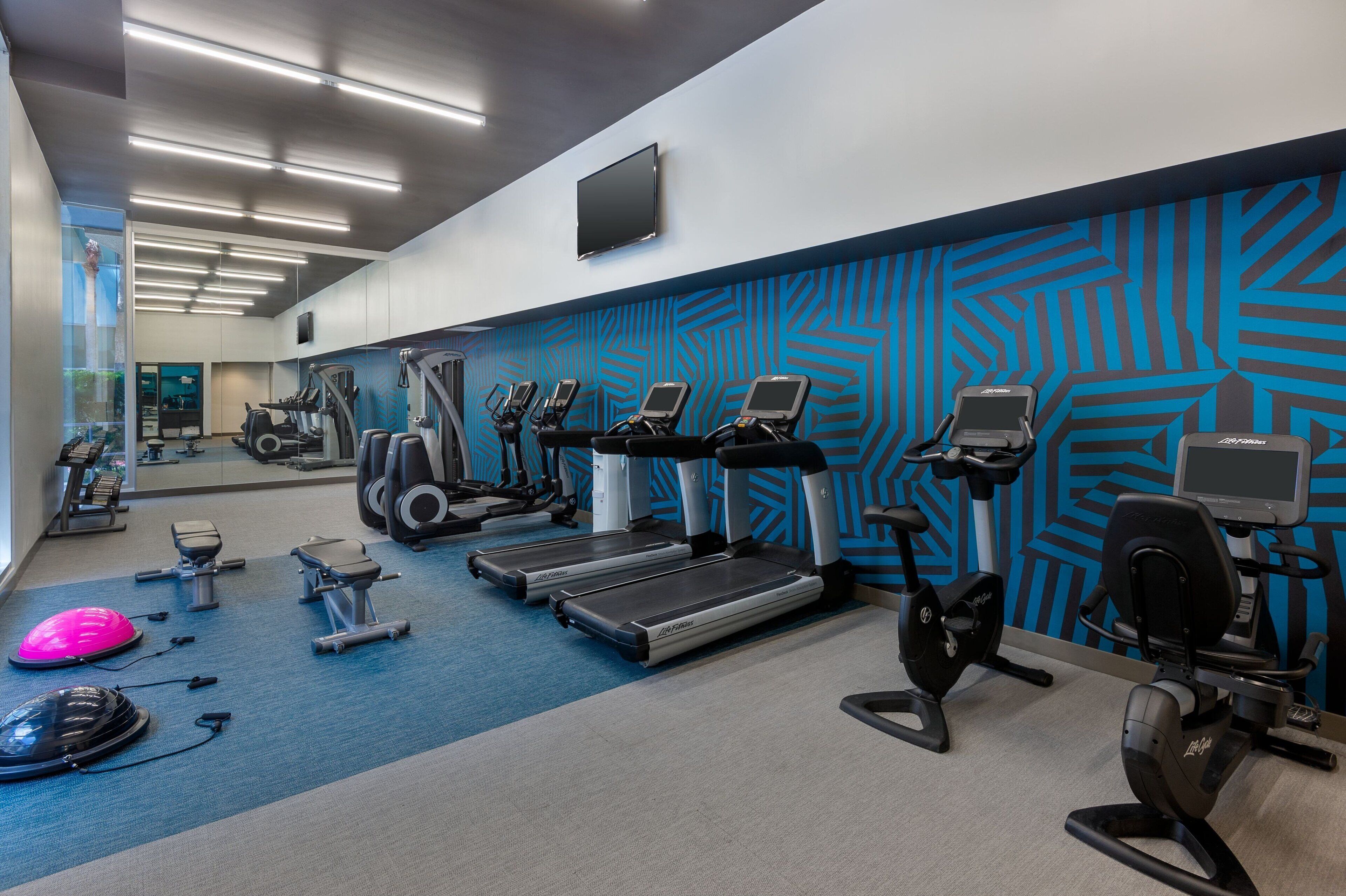 A gym with treadmills, elliptical machines, and exercise bikes.