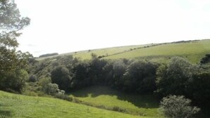 A rural landscape with rolling green fields and dense shrubbery. - Teach an Cheoil (Ballycastle)