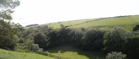 A rural landscape with rolling green fields and dense shrubbery.