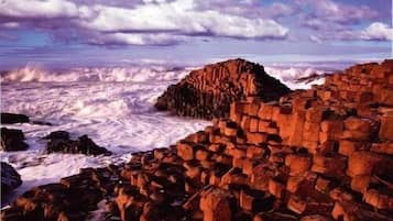 Vue depuis l’hébergement