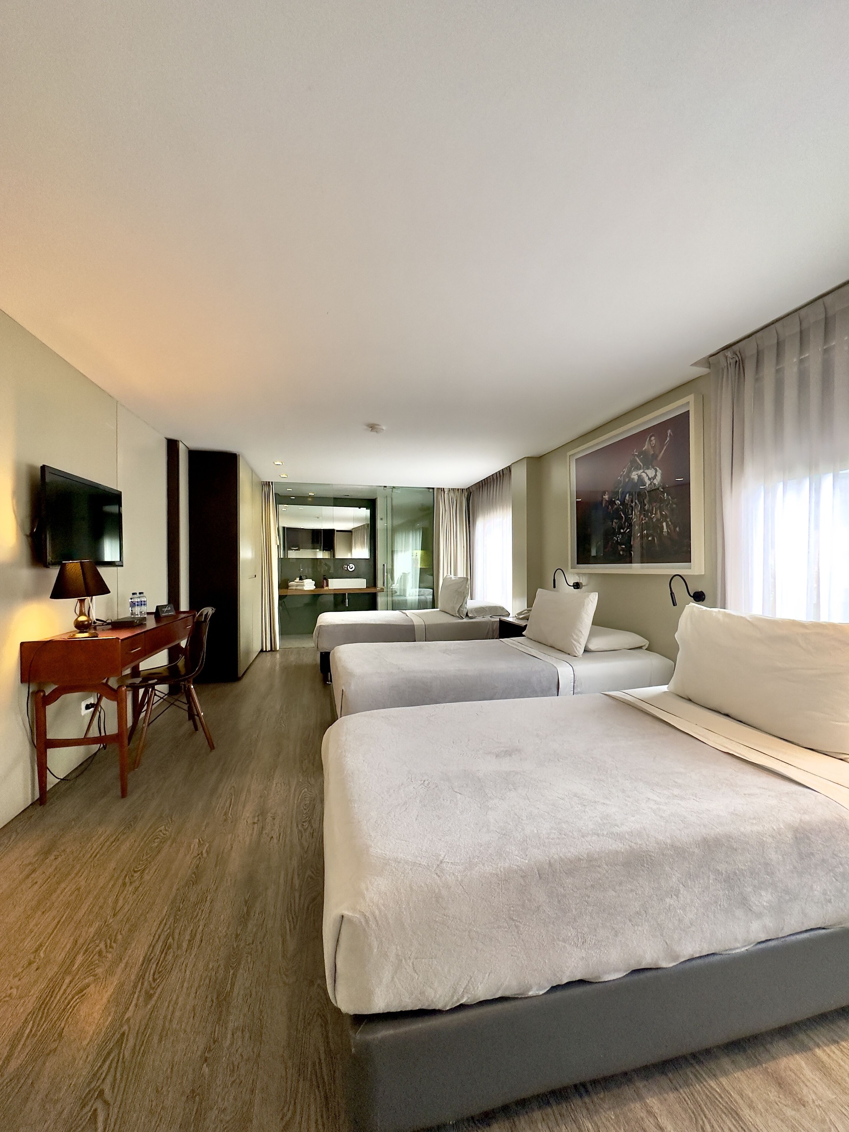 suite (triple) | view from room