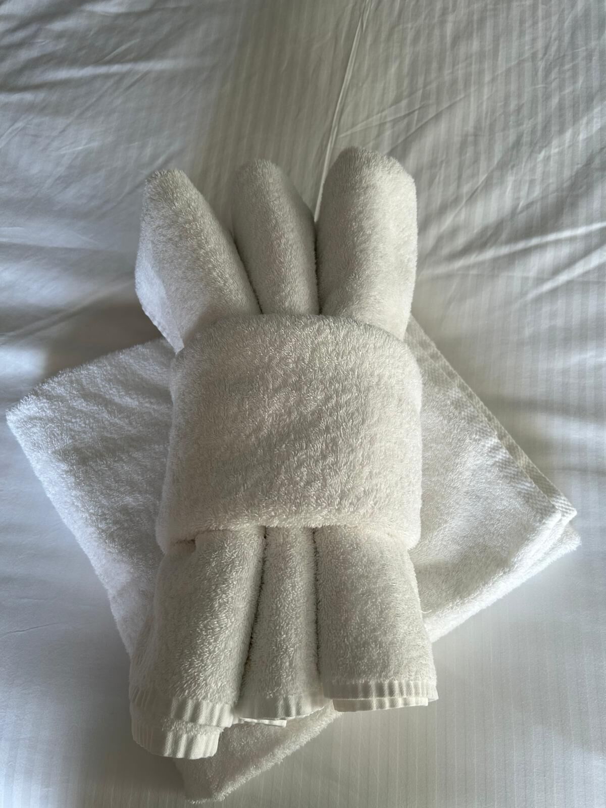 Un ensemble de serviettes blanches, soigneusement pliées et attachées ensemble par un ruban, est posé sur le lit.