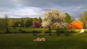 Property grounds - Gîte TerreCiel (Baie-St-Paul)