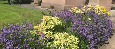 Jardin