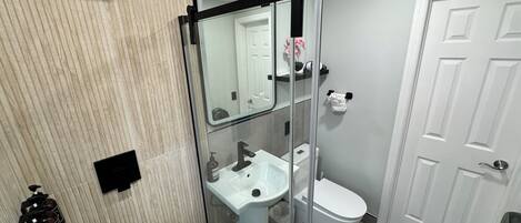 Une salle de bain avec une douche à parois de verre, un lavabo blanc, des toilettes et une porte.