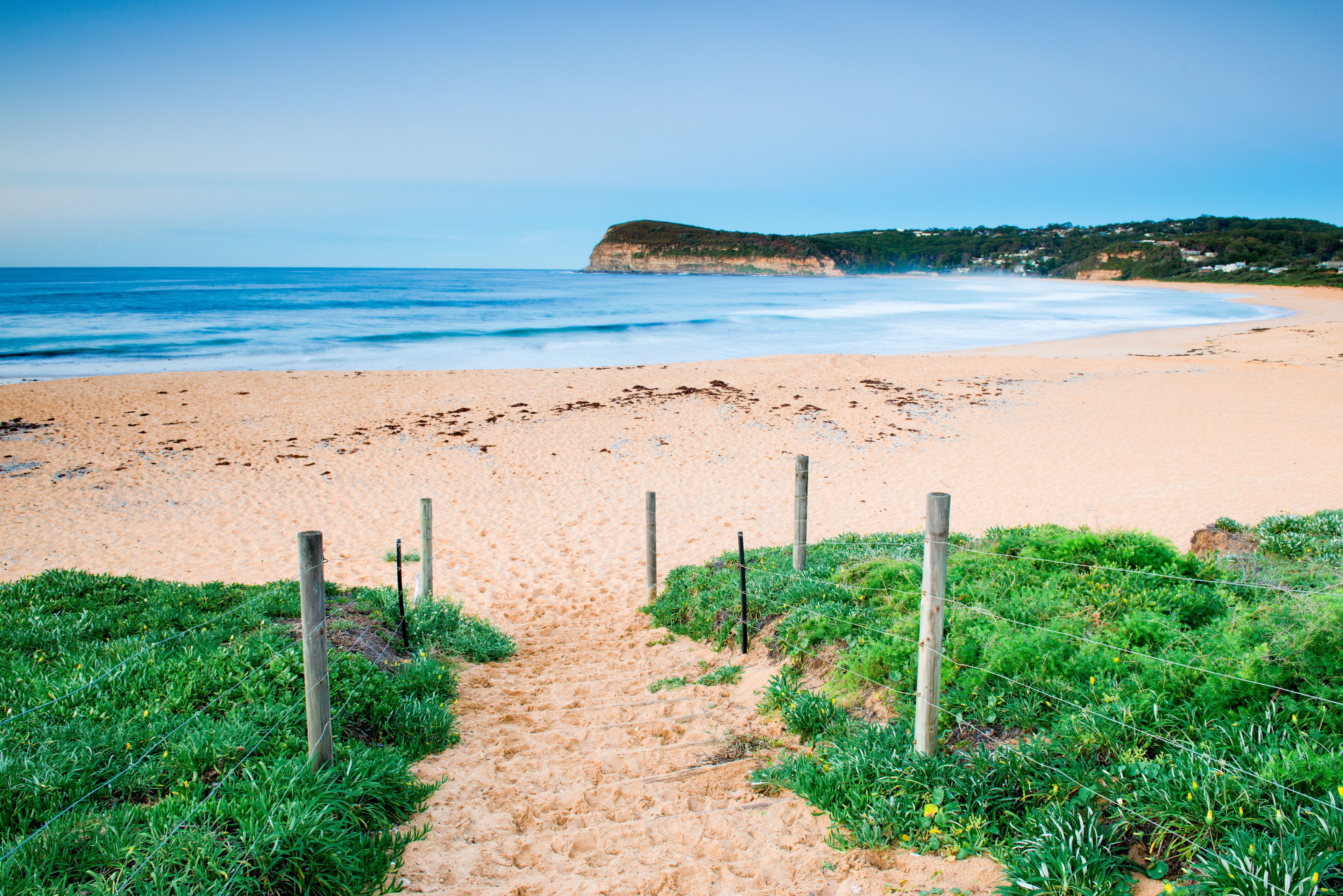 A sandy beach path leading to the ocean with a grassy area on either side and a wooden fence.