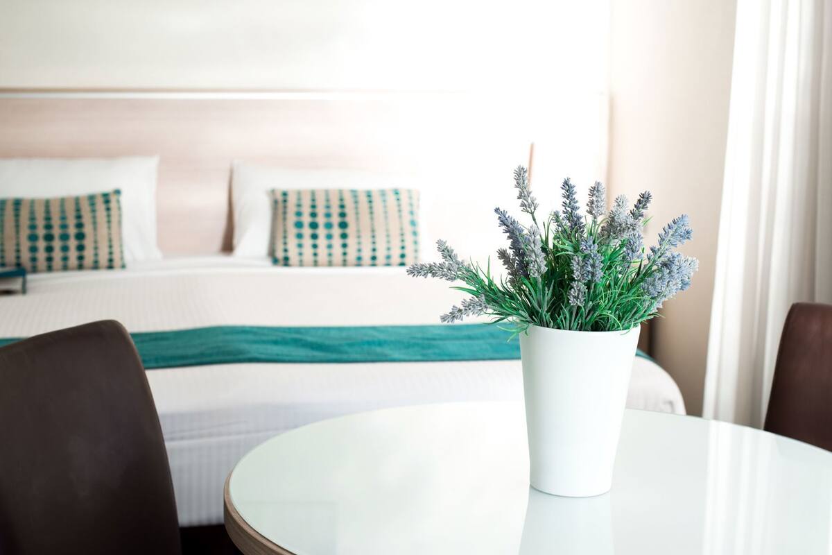 Quarto de hotel com cama, mesa de jantar e planta em vaso.