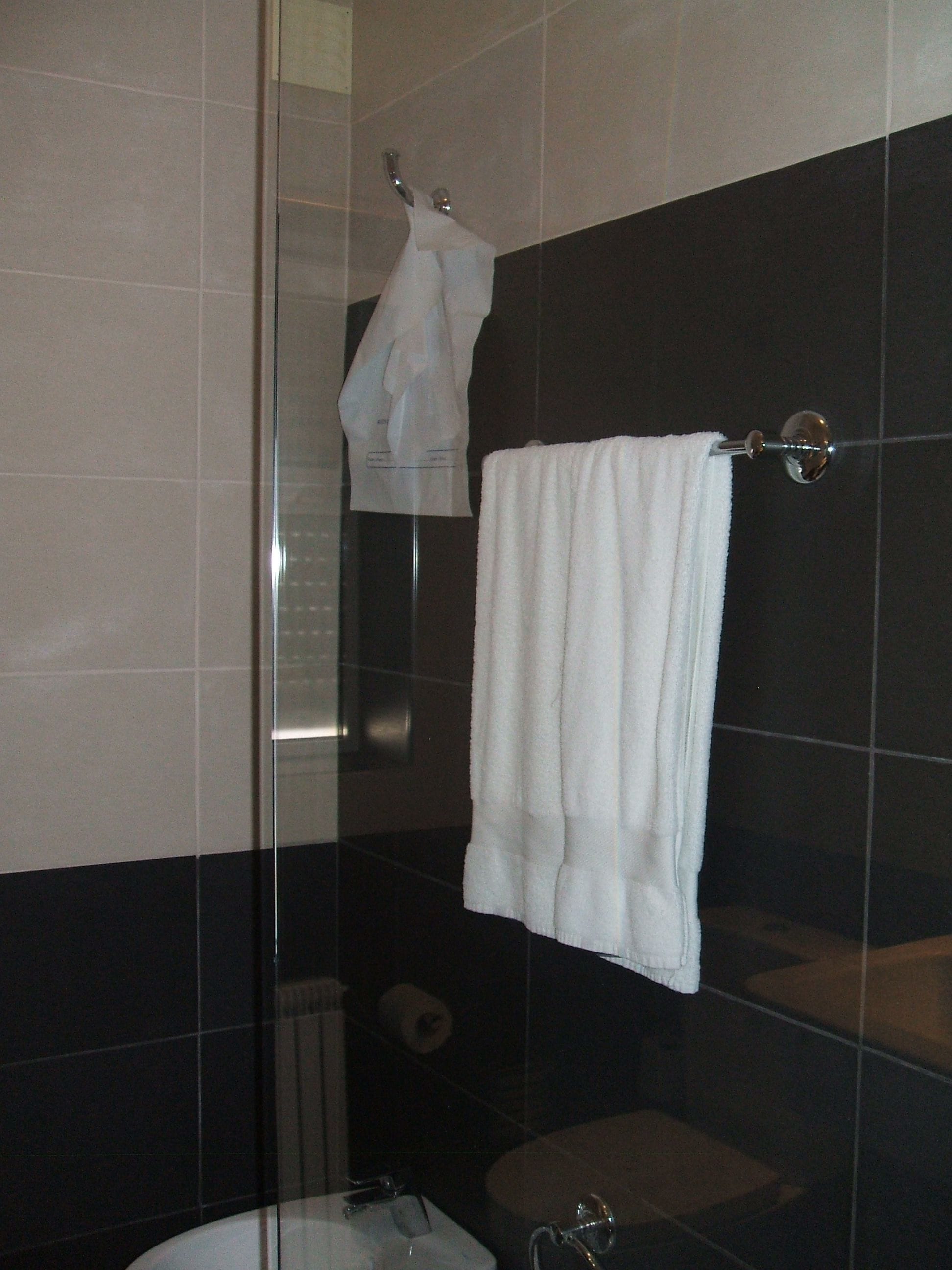 A bathroom with a glass shower enclosure, a white towel hanging on a rack, and a toilet with a visible roll of toilet paper.