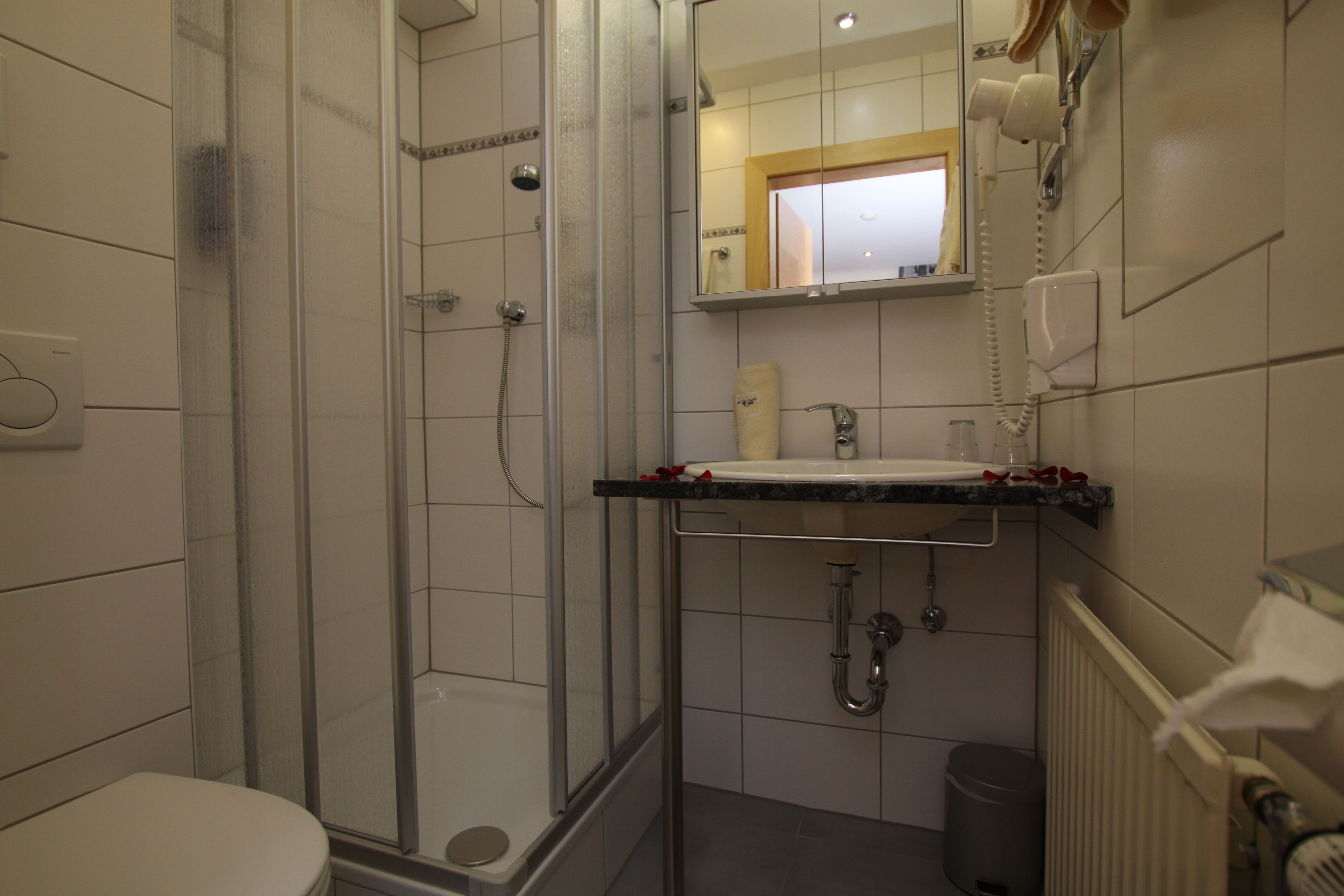 A bathroom with a shower, toilet, sink, and a mirror above the sink.