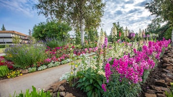 Jardin