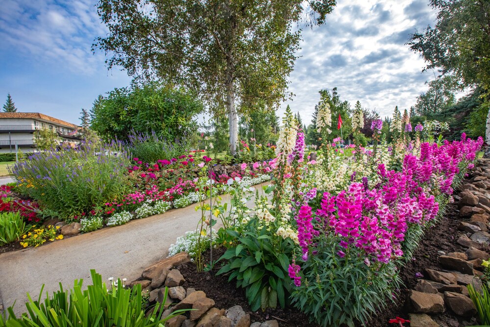 Bear Lodge @ Wedgewood Resort by null