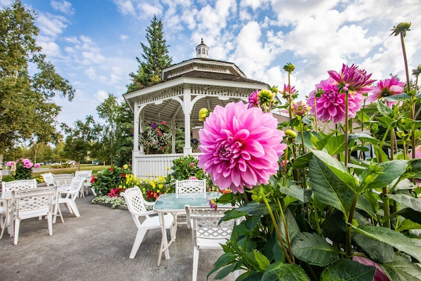 Outdoor wedding area