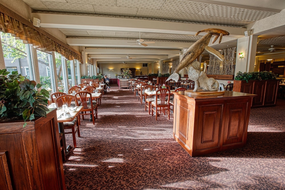 Bear Lodge @ Wedgewood Resort by null