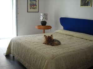 Superior Double Room | Meja, kalis bunyi, katil lipat simpan/tambahan
