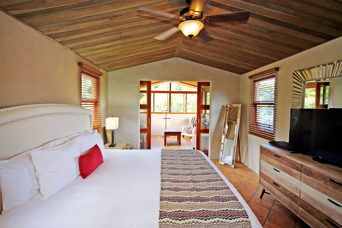 A bedroom with a large bed, a ceiling fan, a TV, and a view of the outdoors.