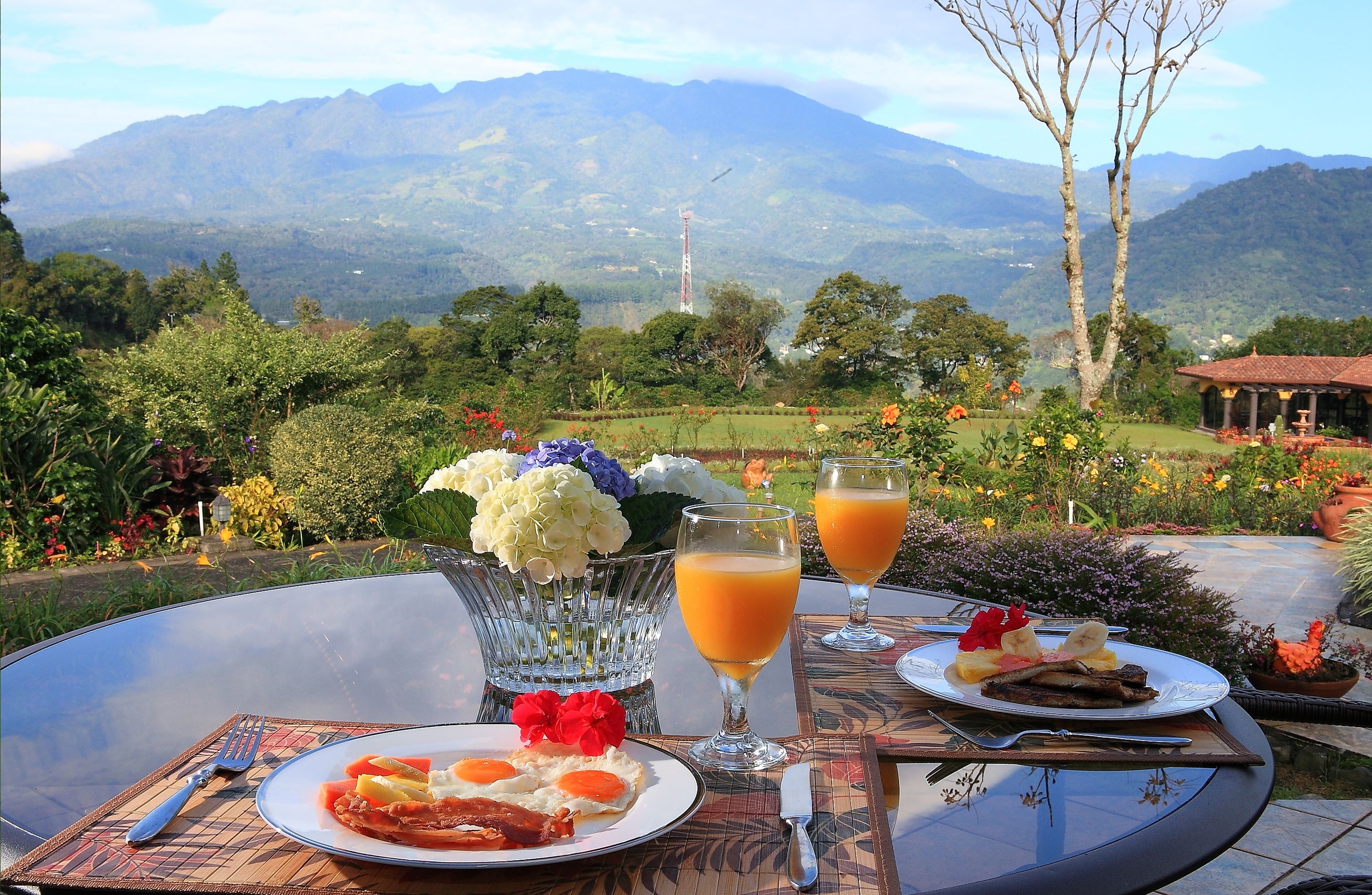 Se sirven desayunos, comidas y cocina regional con vista al jardín