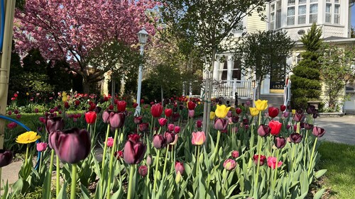 Bedham Hall Bed & Breakfast