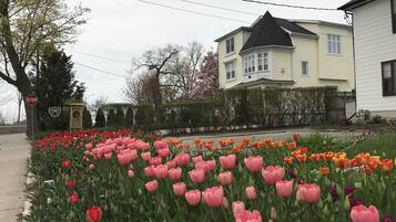 A residential area with a row of pink and red tulips in front of a house with a black roof.
