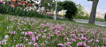 Bedham Hall Bed & Breakfast
