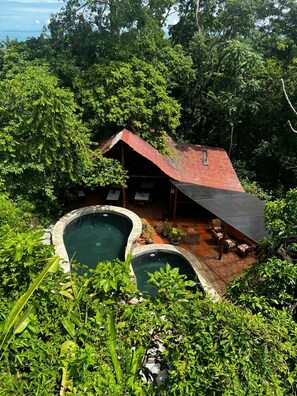 Un espace piscine isolé, doté de deux bains à remous, entouré d’une végétation luxuriante et agrémenté d’une structure en bois rustique surmontée d’un toit rouge.