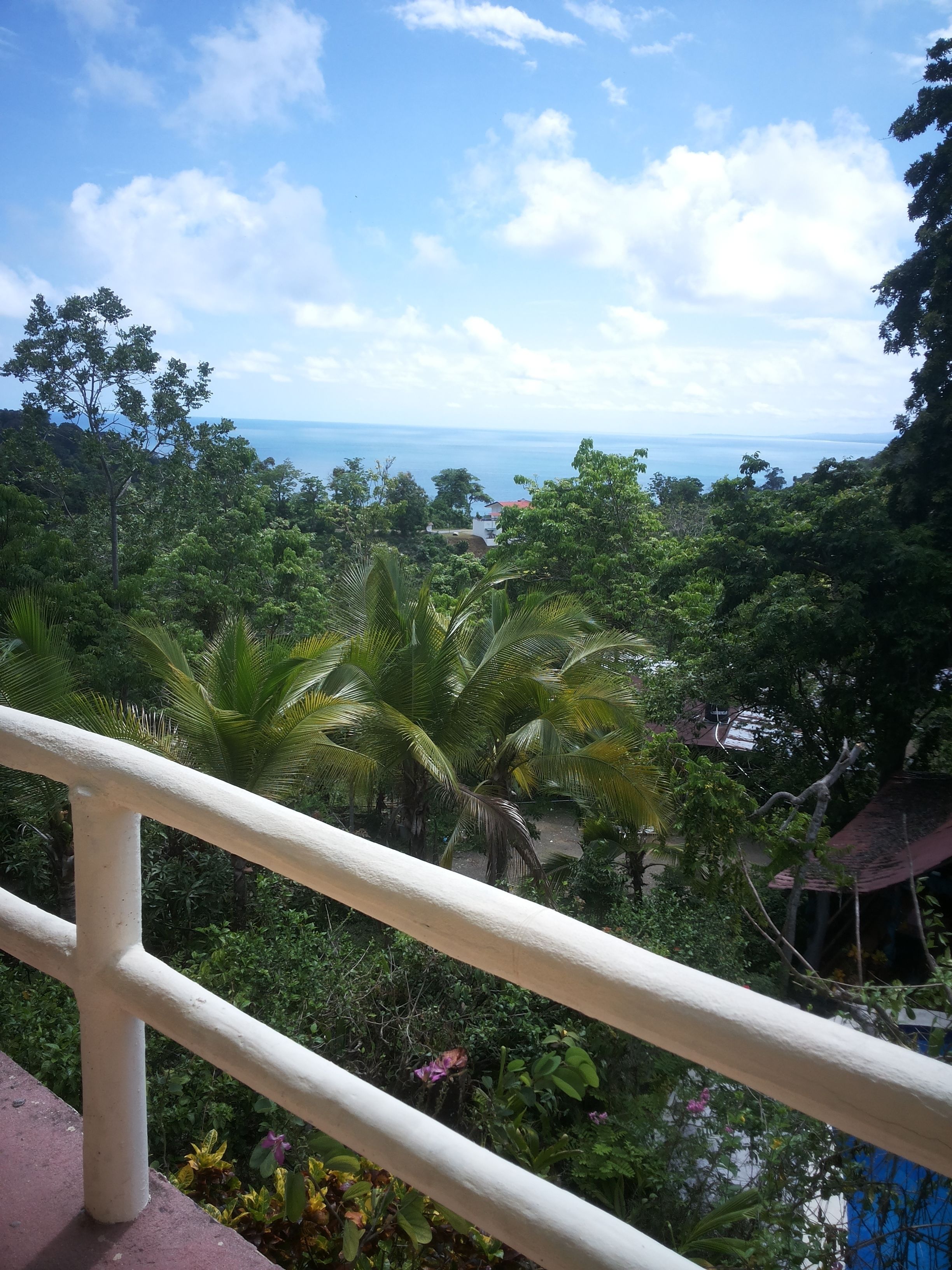 A balcony with a white railing overlooking a lush landscape with dense foliage and a view of the sea.