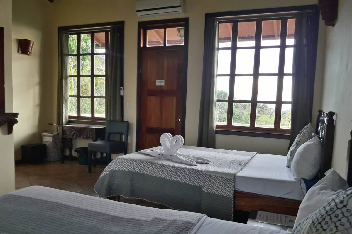 A hotel room with two beds, a desk, a chair, and large windows with views of greenery.