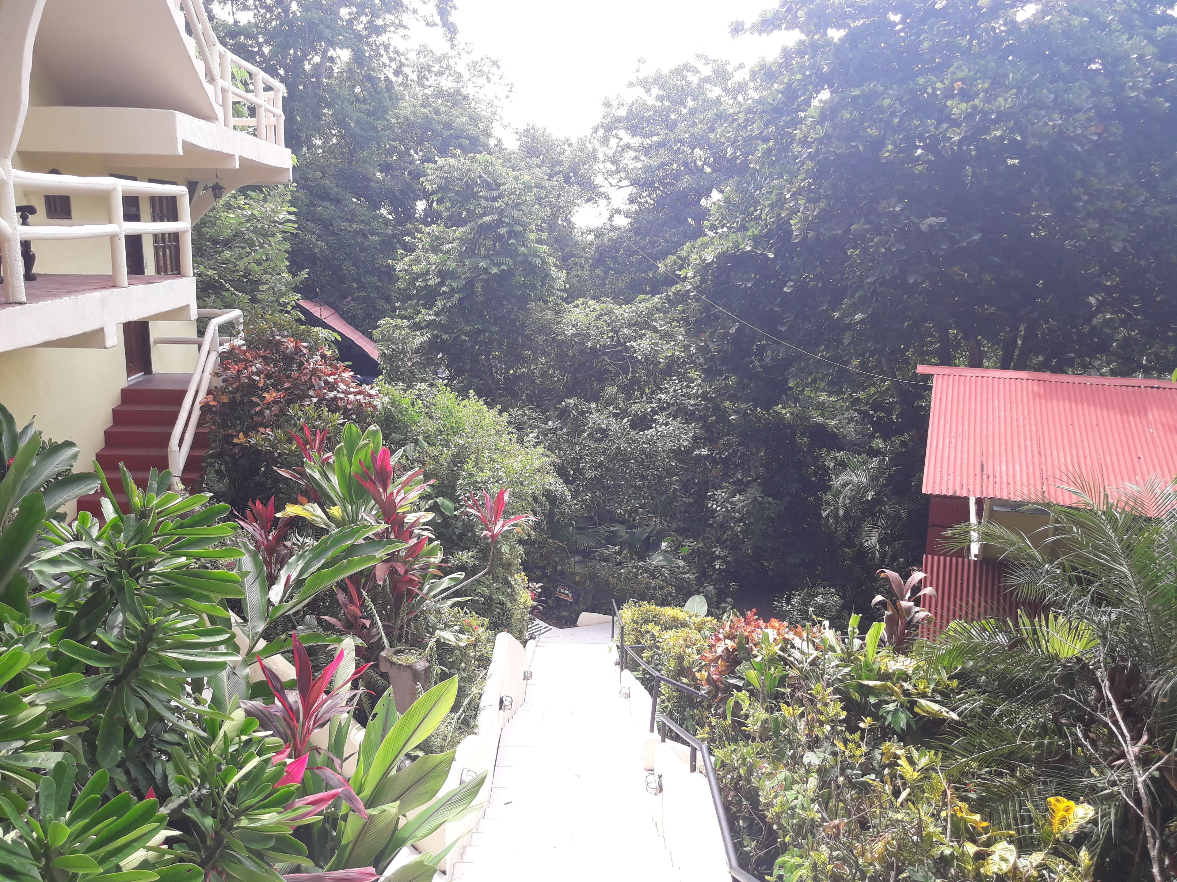 Foto - Hotel La Colina