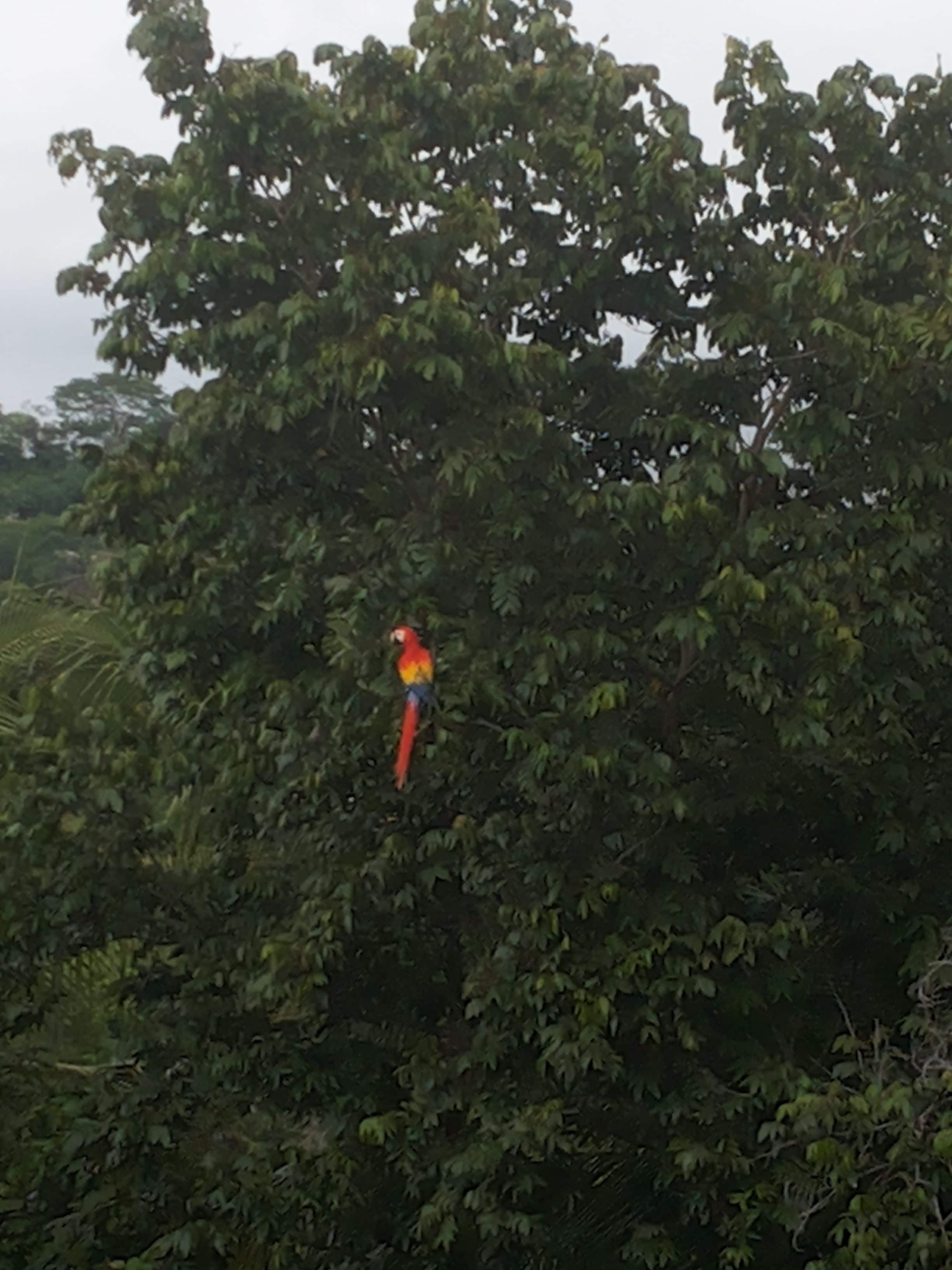 Foto - Hotel La Colina