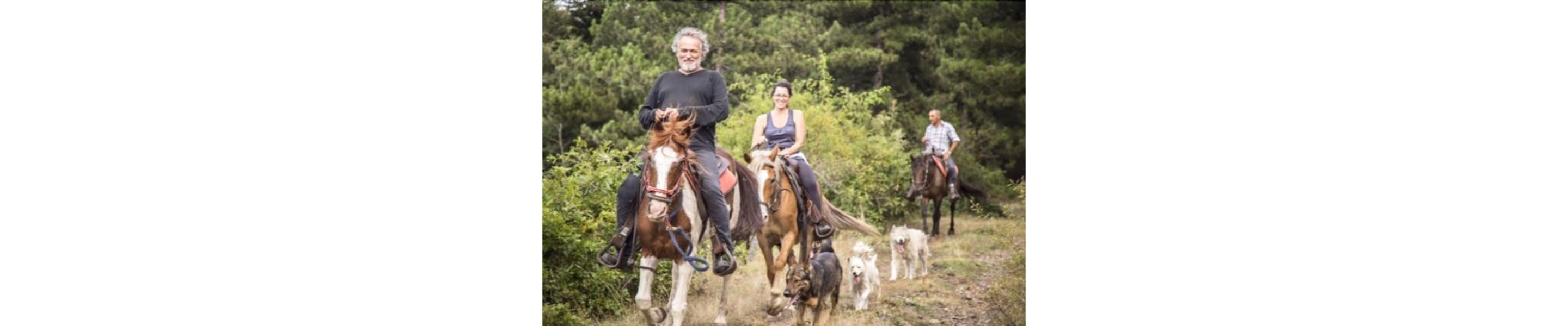 Foto - Hotel Butterfly