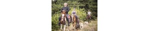 Horseback riding - Hotel Butterfly - We Suite (Viareggio)