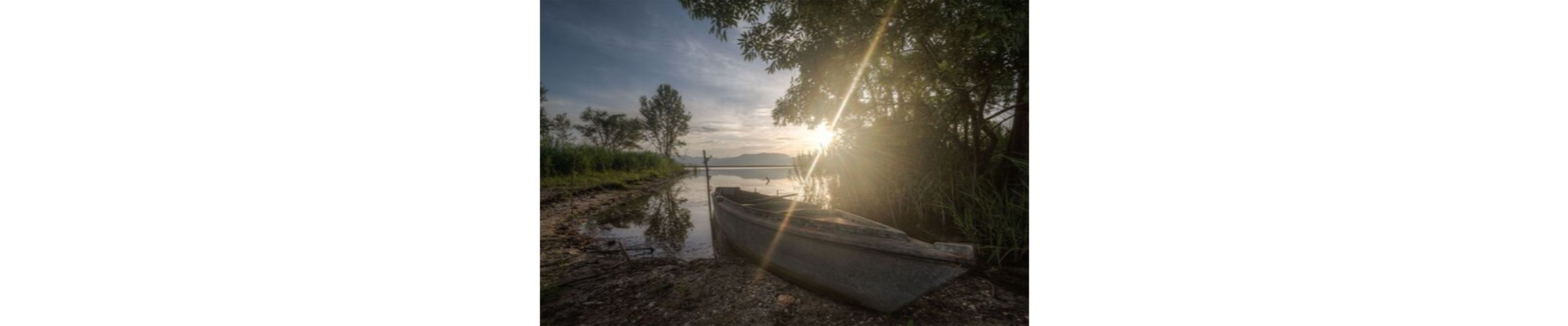 Foto - Hotel Butterfly