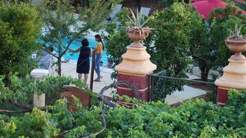 Seasonal outdoor pool, open 9:00 AM to 7:00 PM, pool umbrellas