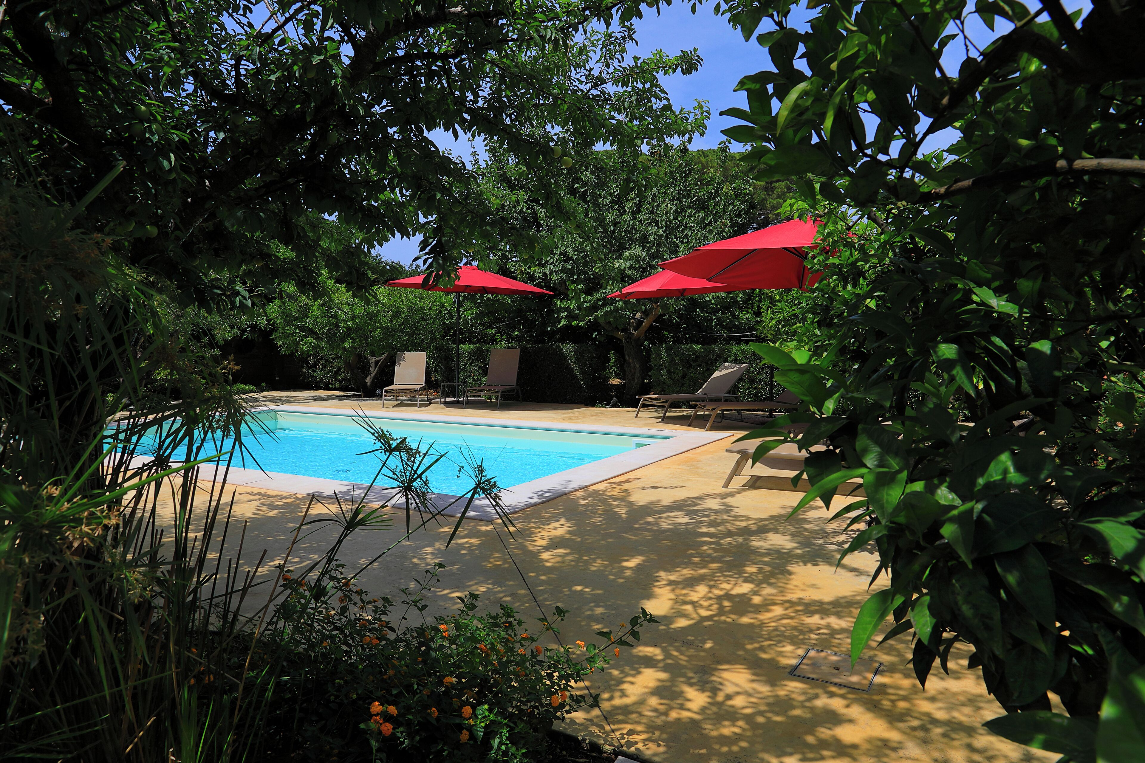 A swimming pool surrounded by greenery, with red umbrellas and lounge chairs.