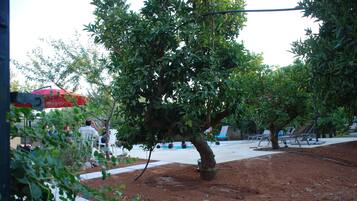 A tree-lined park with a dirt path, benches, and a playground.