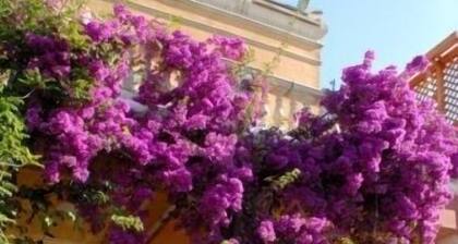 Villarancia – Luxury B&B