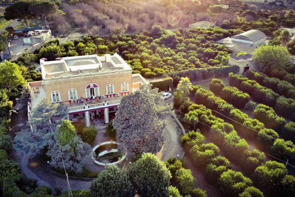 Aerial view
