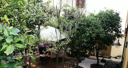 La Corte di Lucina