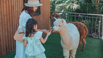 Children's play area - outdoor