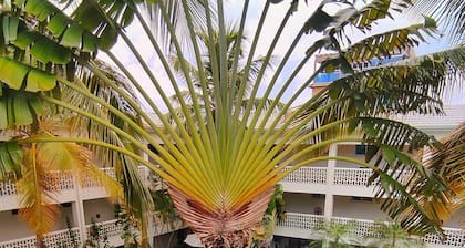 Acuarium Suite Resort
